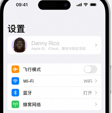 泊头appleID维修服务iPhone设置中Apple ID显示为灰色无法使用 