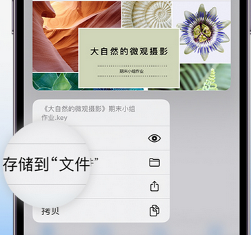 泊头apple维修中心分享iPhone文件应用中存储和找到下载文件