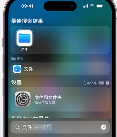 泊头apple维修中心分享iPhone文件应用中存储和找到下载文件 