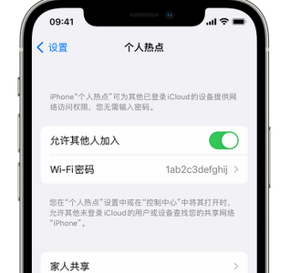 泊头apple服务站点分享iPhone上个人热点丢失了怎么办 