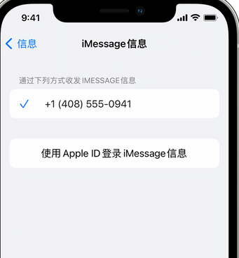 泊头apple维修iPhone上无法正常发送iMessage信息 