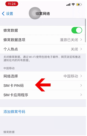 泊头苹果14维修网分享如何给iPhone14的SIM卡设置密码 