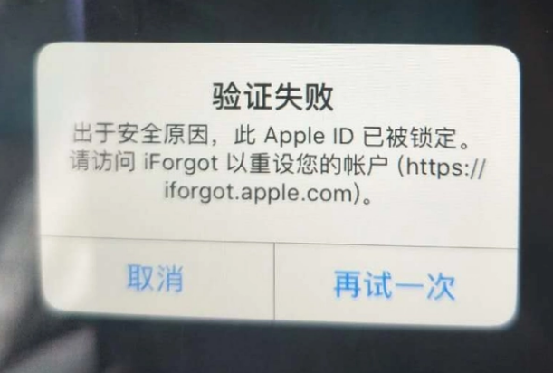 泊头iPhone维修分享iPhone上正常登录或使用AppleID怎么办 