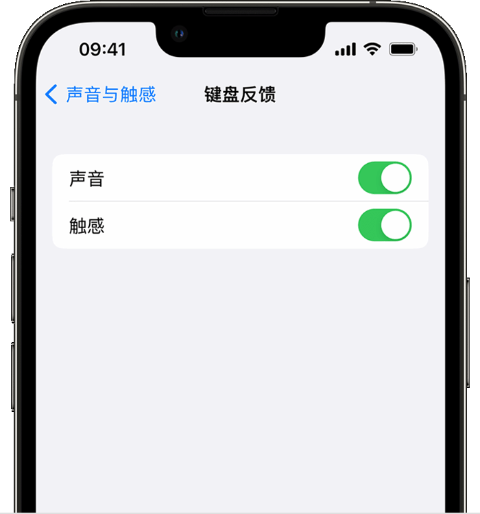 泊头苹果14维修店分享如何在 iPhone 14 机型中使用触感键盘 