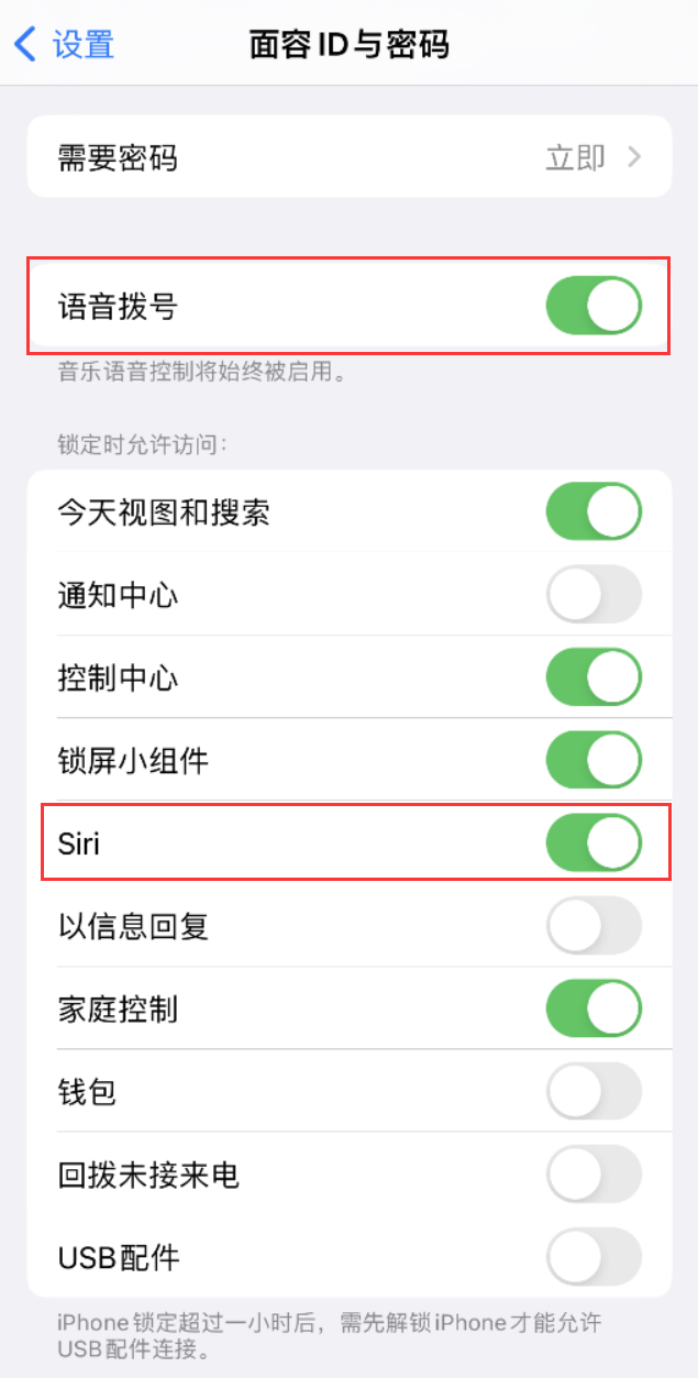 泊头苹果维修网点分享不解锁 iPhone 的情况下通过 Siri 拨打电话的方法 