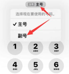 泊头苹果14维修店分享iPhone 14 Pro Max使用副卡打电话的方法 