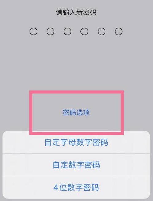 泊头苹果14维修分享iPhone 14plus设置密码的方法 