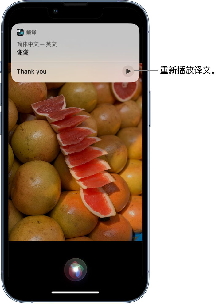 泊头苹果14维修分享 iPhone 14 机型中使用 Siri：了解 Siri 能帮你做什么 