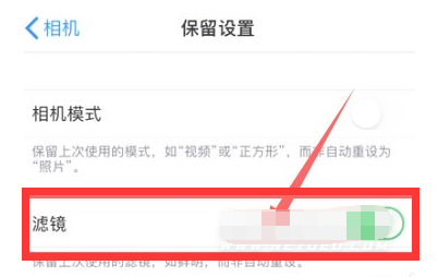 泊头苹果13维修分享iPhone13拍照有绿点是怎么回事 