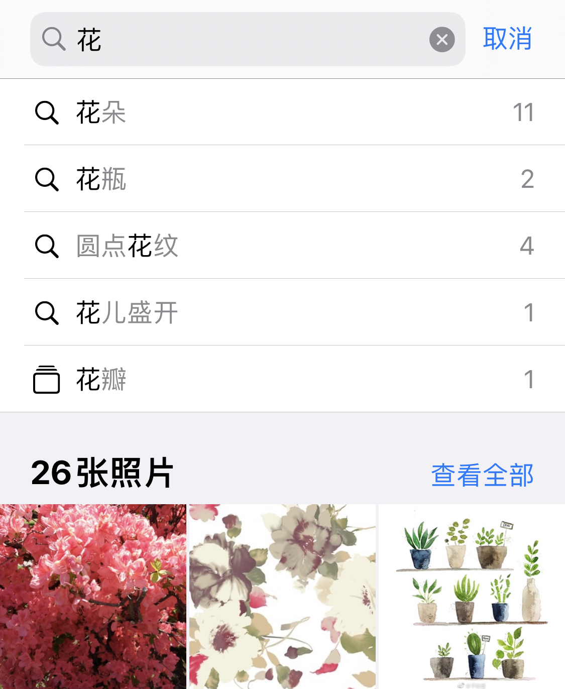 泊头苹果手机维修分享iPhone 小技巧 