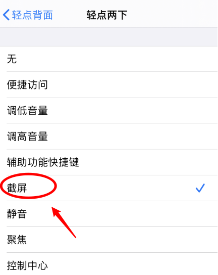 泊头苹果手机维修分享iPhone12如何启用双击截屏 