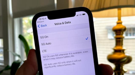 泊头苹果手机维修分享iPhone 12如何打开或关闭5G网络 